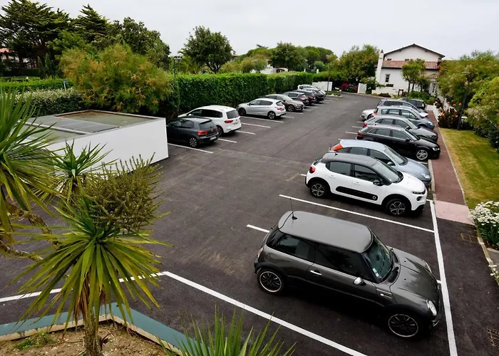 储备酒店 酒店 4*